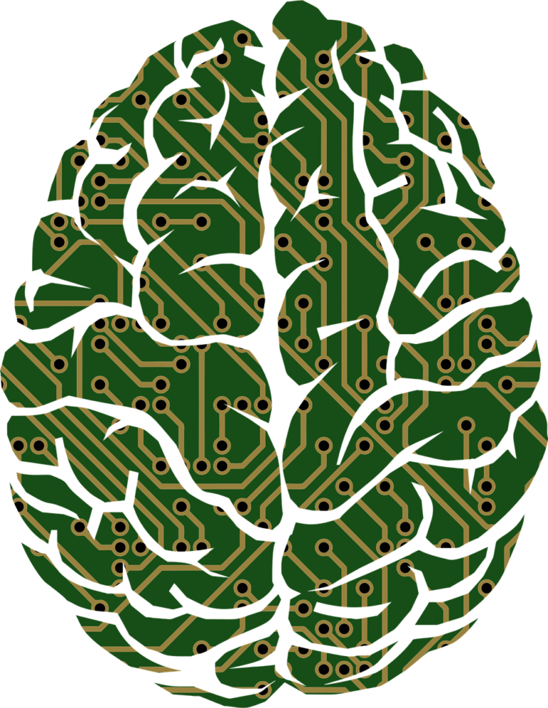 machine-learning-brain